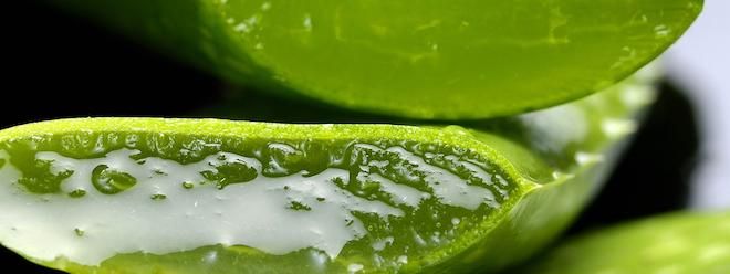 peeling aloe vera Buy Dr Rashel Aloe Vera 2-in-1 Peeling Scrub  100g PK