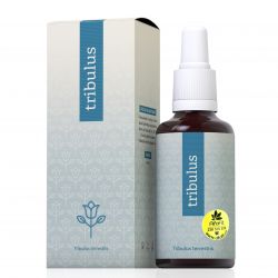 Energy Tribulus Terrestris forte 30 ml